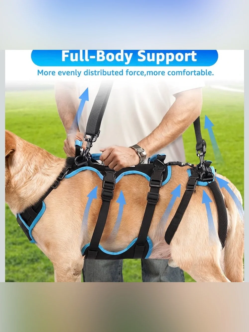 Lafoty Dog Lift Harness For Male Dogs (Medium, Black) 563/DC-3:v